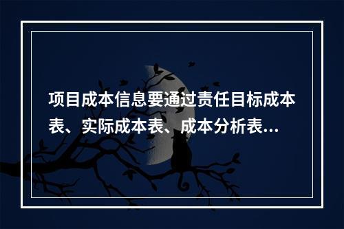 项目成本信息要通过责任目标成本表、实际成本表、成本分析表等来