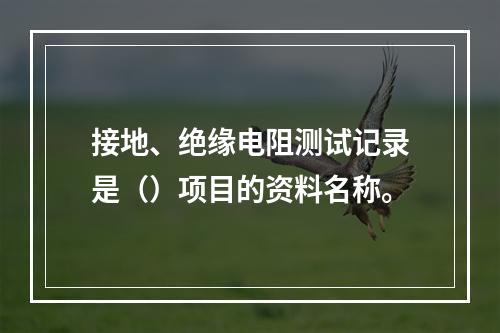 接地、绝缘电阻测试记录是（）项目的资料名称。