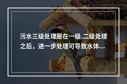 污水三级处理是在一级.二级处理之后，进一步处理可导致水体富营