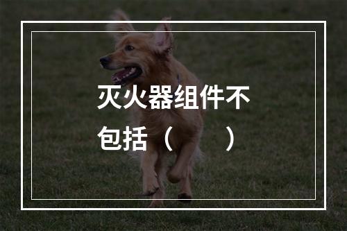 灭火器组件不包括（  ）