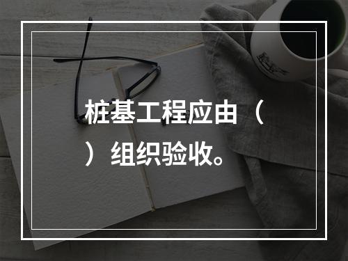 桩基工程应由（）组织验收。