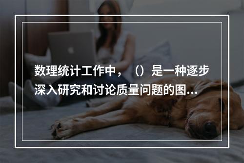 数理统计工作中，（）是一种逐步深入研究和讨论质量问题的图示方