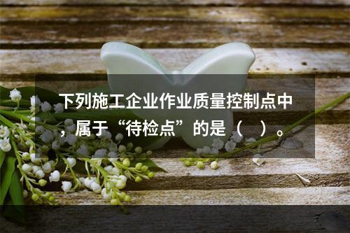 下列施工企业作业质量控制点中，属于“待检点”的是（　）。