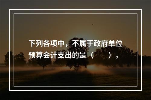 下列各项中，不属于政府单位预算会计支出的是（　　）。