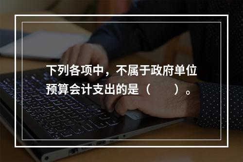 下列各项中，不属于政府单位预算会计支出的是（　　）。