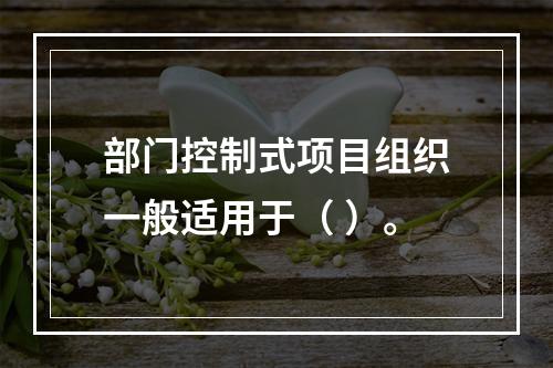 部门控制式项目组织一般适用于（ ）。