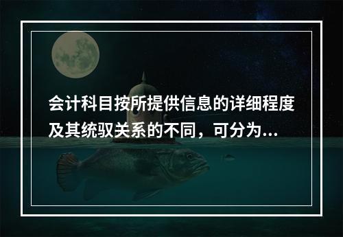 会计科目按所提供信息的详细程度及其统驭关系的不同，可分为（