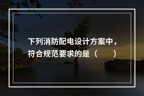 下列消防配电设计方案中，符合规范要求的是（  ）