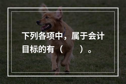 下列各项中，属于会计目标的有（　　）。