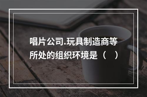 唱片公司.玩具制造商等所处的组织环境是（　）