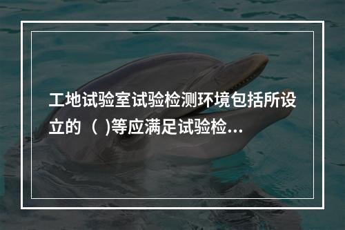 工地试验室试验检测环境包括所设立的（  )等应满足试验检测规