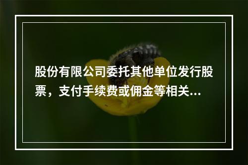 股份有限公司委托其他单位发行股票，支付手续费或佣金等相关费用