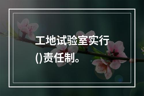 工地试验室实行()责任制。