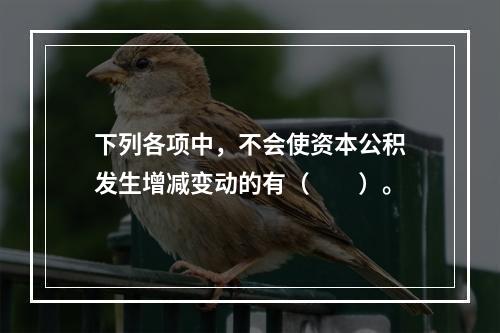 下列各项中，不会使资本公积发生增减变动的有（　　）。