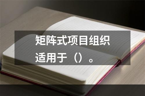 矩阵式项目组织适用于（）。