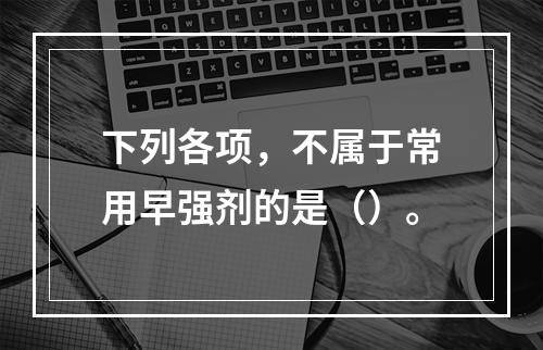 下列各项，不属于常用早强剂的是（）。