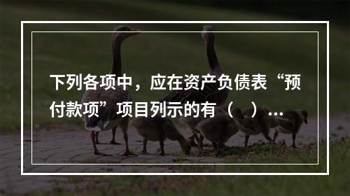 下列各项中，应在资产负债表“预付款项”项目列示的有（　）。