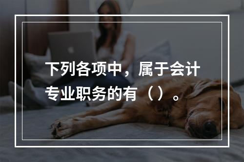 下列各项中，属于会计专业职务的有（ ）。