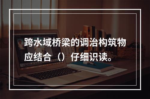 跨水域桥梁的调治构筑物应结合（）仔细识读。