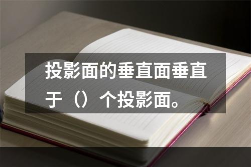 投影面的垂直面垂直于（）个投影面。