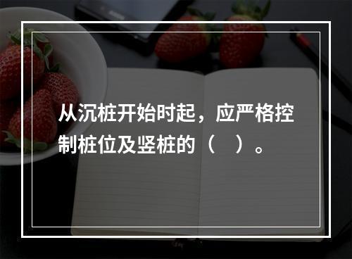 从沉桩开始时起，应严格控制桩位及竖桩的（　）。