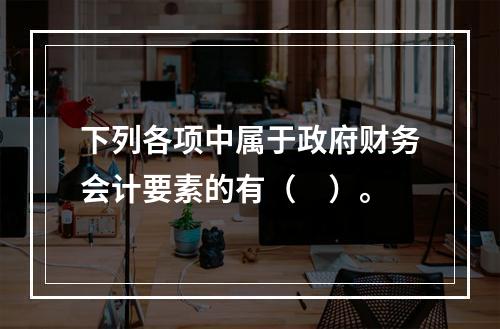 下列各项中属于政府财务会计要素的有（　）。