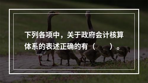 下列各项中，关于政府会计核算体系的表述正确的有（　　）。