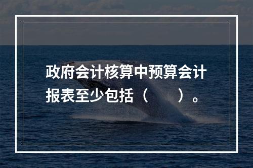 政府会计核算中预算会计报表至少包括（　　）。