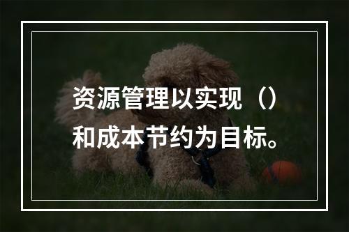 资源管理以实现（）和成本节约为目标。