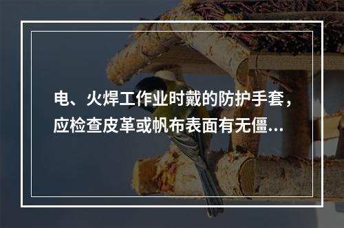 电、火焊工作业时戴的防护手套，应检查皮革或帆布表面有无僵硬、