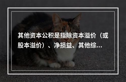 其他资本公积是指除资本溢价（或股本溢价）、净损益、其他综合收