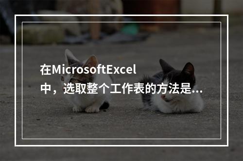 在MicrosoftExcel中，选取整个工作表的方法是（）