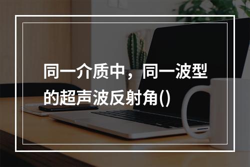 同一介质中，同一波型的超声波反射角()