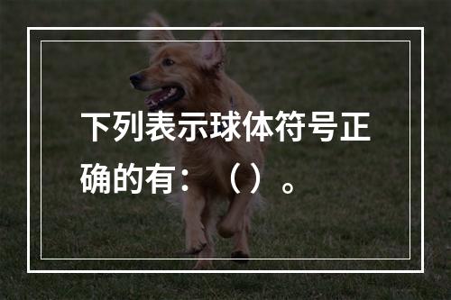 下列表示球体符号正确的有：（ ）。