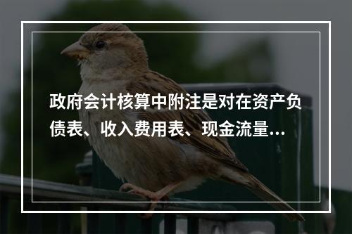 政府会计核算中附注是对在资产负债表、收入费用表、现金流量表等