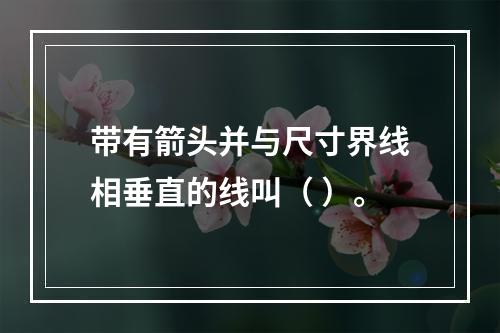 带有箭头并与尺寸界线相垂直的线叫（ ）。