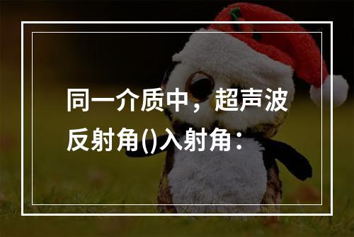 同一介质中，超声波反射角()入射角：