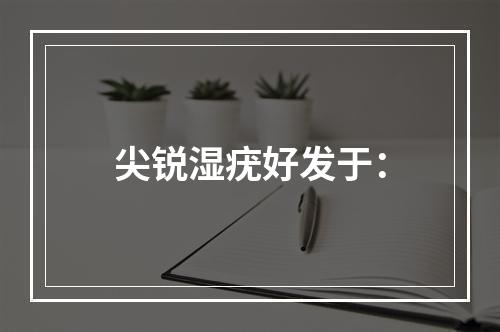 尖锐湿疣好发于：