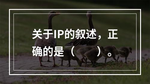 关于IP的叙述，正确的是（　　）。