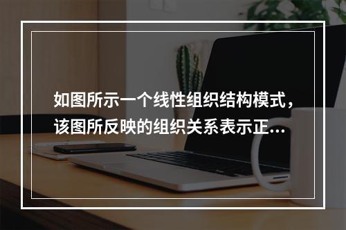 如图所示一个线性组织结构模式，该图所反映的组织关系表示正确的