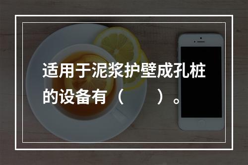 适用于泥浆护壁成孔桩的设备有（　　）。