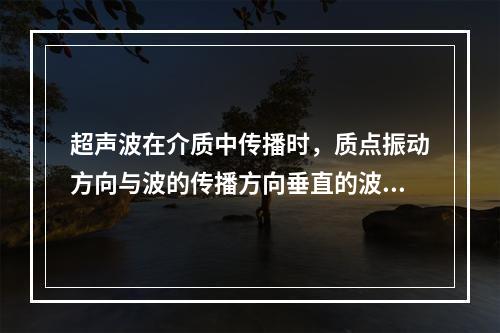 超声波在介质中传播时，质点振动方向与波的传播方向垂直的波型是