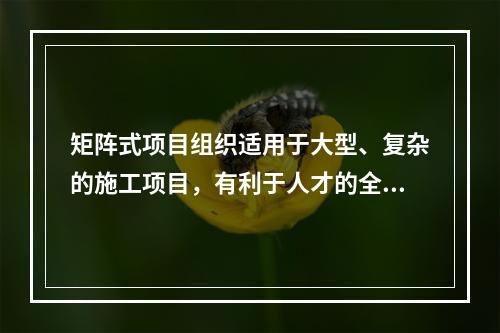 矩阵式项目组织适用于大型、复杂的施工项目，有利于人才的全面培