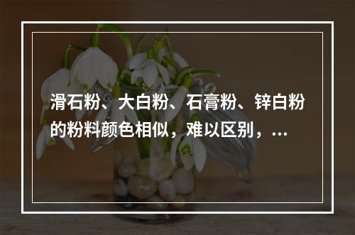 滑石粉、大白粉、石膏粉、锌白粉的粉料颜色相似，难以区别，只有