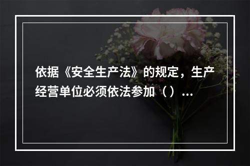 依据《安全生产法》的规定，生产经营单位必须依法参加（ ），为