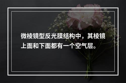 微棱镜型反光膜结构中，其棱镜上面和下面都有一个空气层。