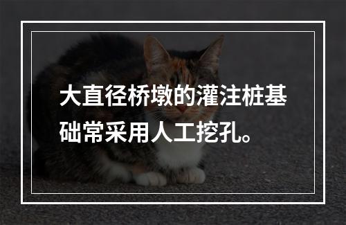 大直径桥墩的灌注桩基础常采用人工挖孔。