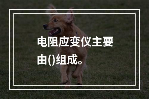 电阻应变仪主要由()组成。