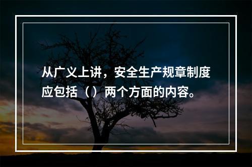 从广义上讲，安全生产规章制度应包括（ ）两个方面的内容。