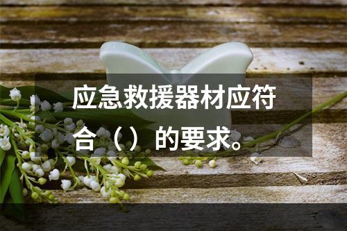 应急救援器材应符合（ ）的要求。